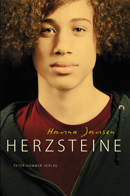 Herzsteine - Hanna Jansen