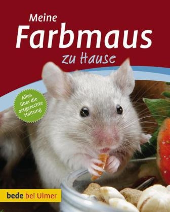 Meine Farbmaus zu Hause - Melanie Teubler