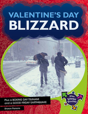 Valentine's Day Blizzard - John Parsons, Sharon Parsons