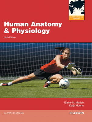 Human Anatomy and Physiology, plus MasteringA&P with Pearson eText - Elaine N. Marieb, Katja Hoehn, . . Pearson Education, Matt Hutchinson, Jon B. Mallatt