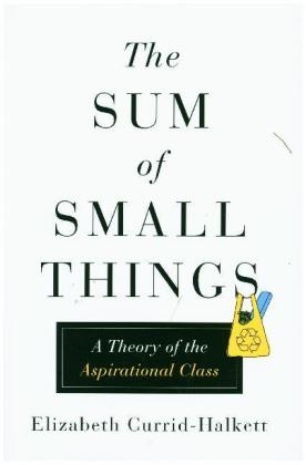 The Sum of Small Things - Elizabeth Currid-Halkett