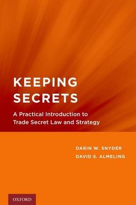 Keeping Secrets - Darin W. Snyder, David S. Almeling