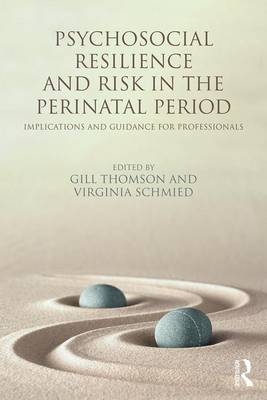 Psychosocial Resilience and Risk in the Perinatal Period - 