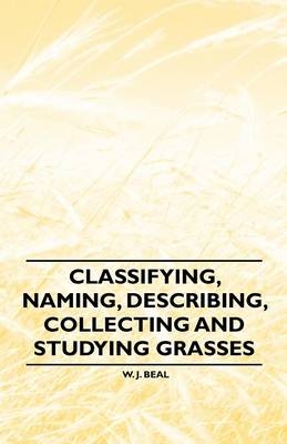 Classifying, Naming, Describing, Collecting and Studying Grasses - W. J. Beal