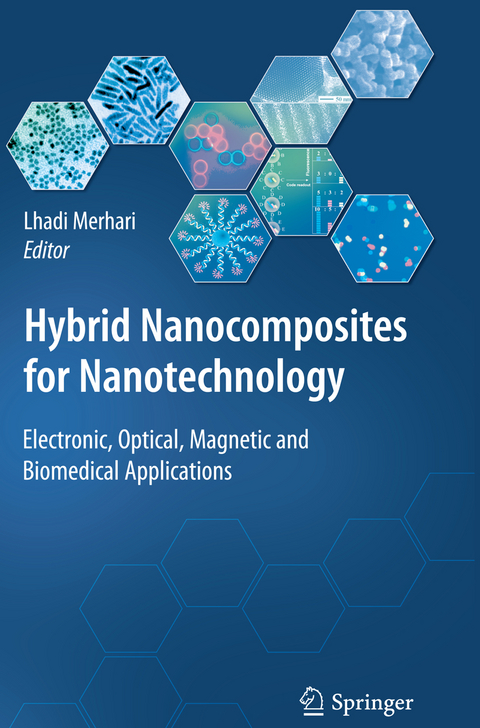 Hybrid Nanocomposites for Nanotechnology - 