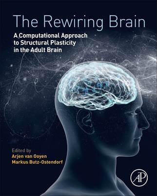 The Rewiring Brain - 