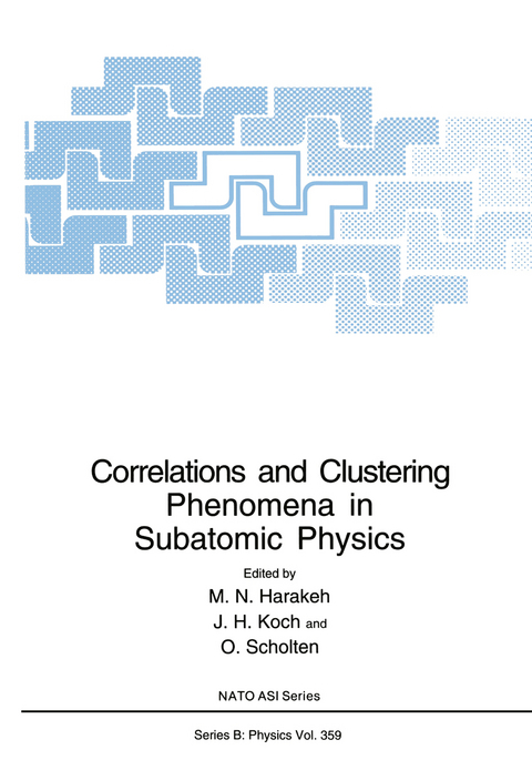 Correlations and Clustering Phenomena in Subatomic Physics - 