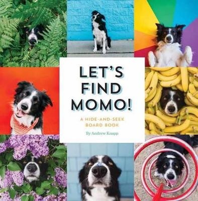 Let's Find Momo! - Andrew Knapp