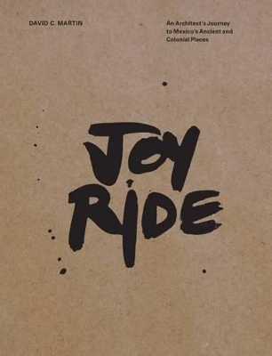 Joy Ride - David Martin, Stephanie Woodard