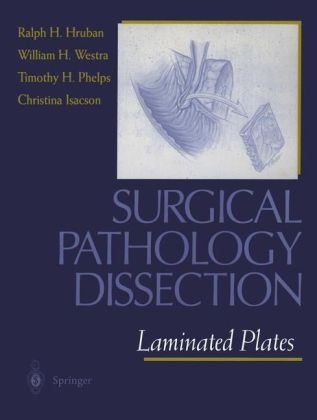 Surgical Pathology Dissection - 