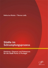 Städte im Schrumpfungsprozess: Gefahren, Chancen und Potenziale für die Stadt Porto in Portugal - Thomas Luffy, Katharina Kloska