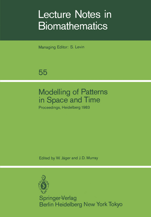 Modelling of Patterns in Space and Time - 