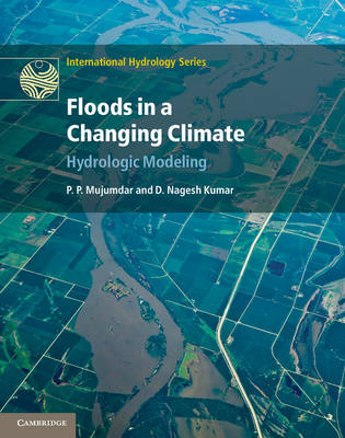 Floods in a Changing Climate - P. P. Mujumdar, D. Nagesh Kumar