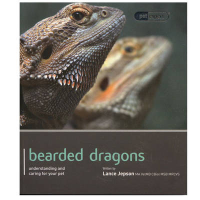 Bearded Dragon - Pet Expert - Lance Jepson