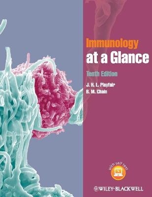 Immunology at a Glance - J. H. L. Playfair, B. M. Chain