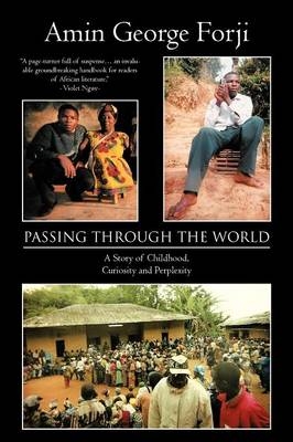 Passing Through the World - Amin George Forji