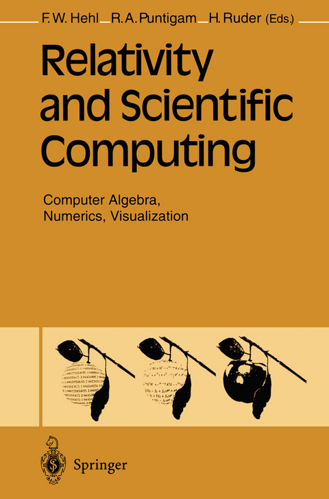 Relativity and Scientific Computing - 