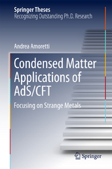 Condensed Matter Applications of AdS/CFT - Andrea Amoretti