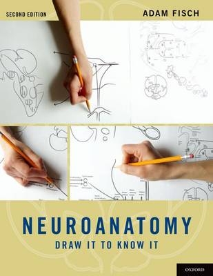 Neuroanatomy - Adam Fisch