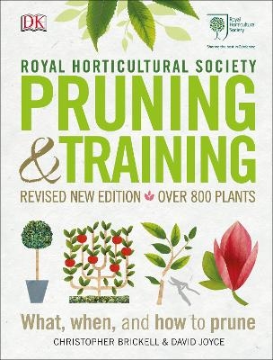 RHS Pruning and Training - Christopher Brickell, David Joyce