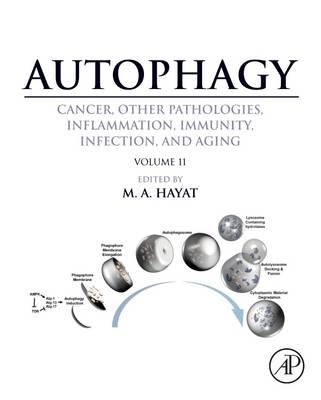 Autophagy: Cancer, Other Pathologies, Inflammation, Immunity, Infection, and Aging - 