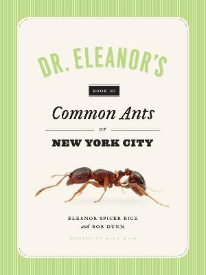 Dr. Eleanor's Book of Common Ants of New York City - Eleanor Spicer Rice, Alex Wild, Rob Dunn