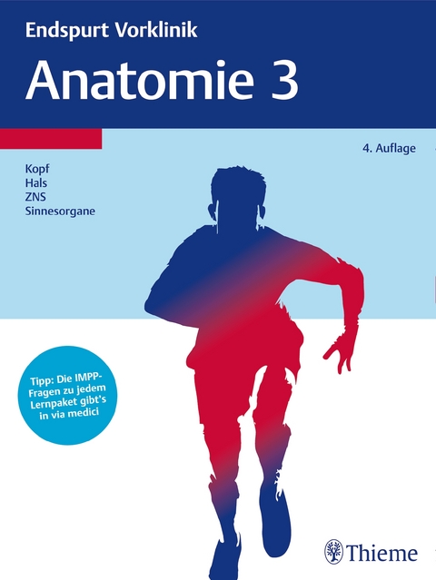 Endspurt Vorklinik: Anatomie 3