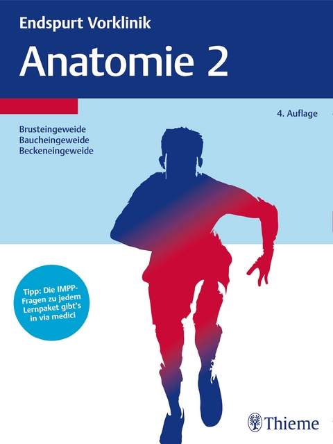 Endspurt Vorklinik: Anatomie 2