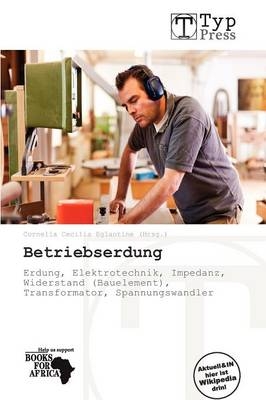 Betriebserdung - 