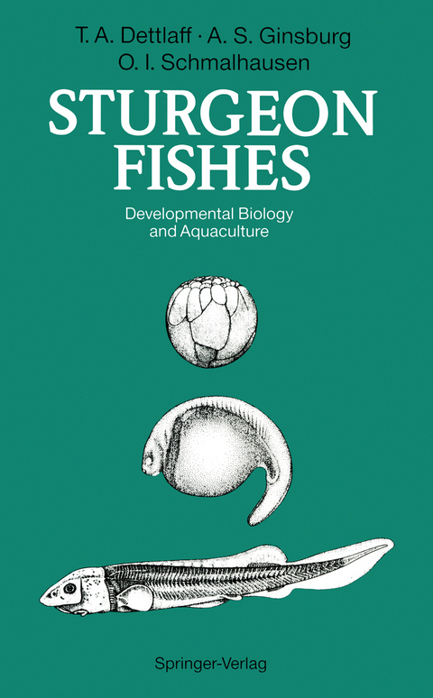 Sturgeon Fishes - Tatiana A. Dettlaff, Anna S. Ginsburg, Olga I. Schmalhausen