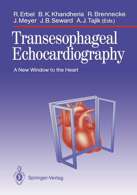 Transesophageal Echocardiography - 