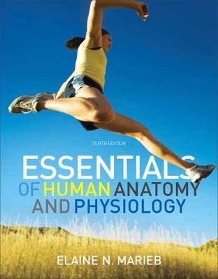 Essentials of Human Anatomy & Physiology Plus MasteringA&P with eText -- Access Card Package - Elaine N. Marieb