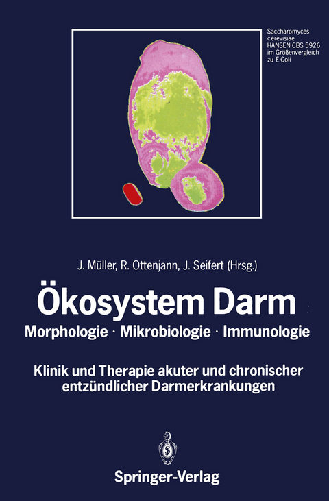 Ökosystem Darm - 