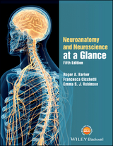 Neuroanatomy and Neuroscience at a Glance - Roger A. Barker, Francesca Cicchetti, Emma S. J. Robinson