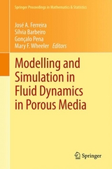 Modelling and Simulation in Fluid Dynamics in Porous Media - 