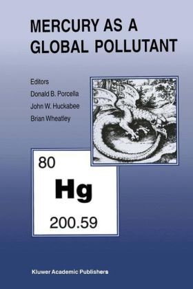 Mercury as a Global Pollutant - 