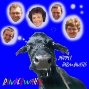 Rinderwahn -  Düppel Harmonists