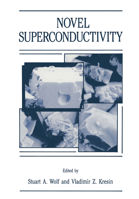 Novel Superconductivity - Stuart A. Wolf, Vladimir Z. Kresin