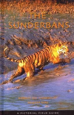 Sunderbans - Biswajit Roy Chow