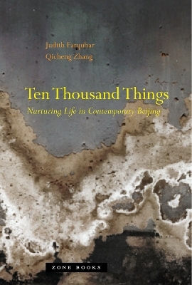 Ten Thousand Things - Judith Farquhar, Qicheng Zhang