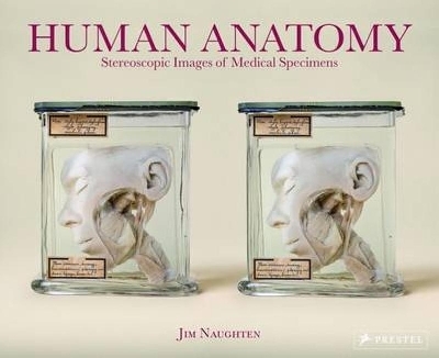 Human Anatomy - Jim Naughten, Laurens De Rooy