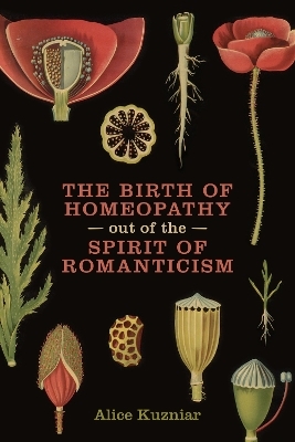 The Birth of Homeopathy out of the Spirit of Romanticism - Alice Kuzniar