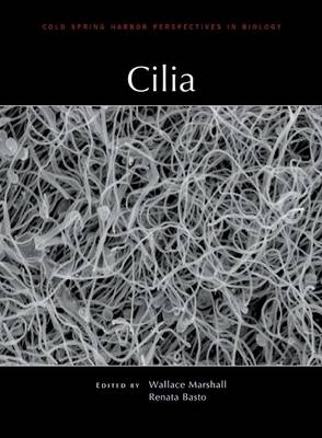 Cilia - 