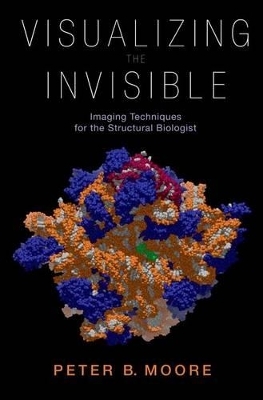 Visualizing the Invisible - Peter Moore