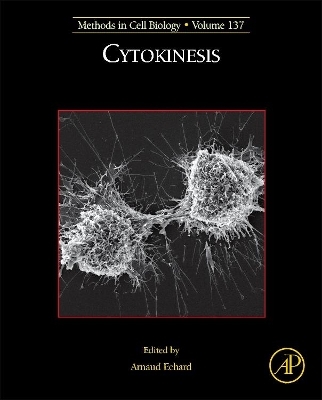 Cytokinesis - 