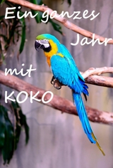 Ein ganzes Jahr mit Koko - Rosi Fee