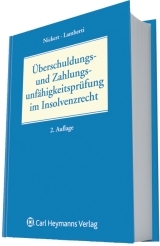 Überschuldungs- und Zahlungsunfähigkeitsprüfung - 