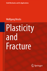 Plasticity and Fracture - Wolfgang Brocks