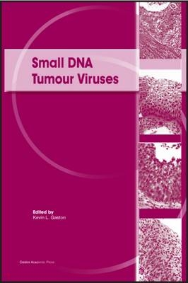 Small DNA Tumour Viruses - 