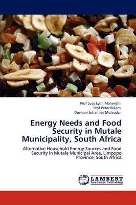 Energy Needs and Food Security in Mutale Municipality, South Africa - Prof Lucy Lynn Maliwichi, Prof Peter BIkam, Dovhani Johannes Mulaudzi